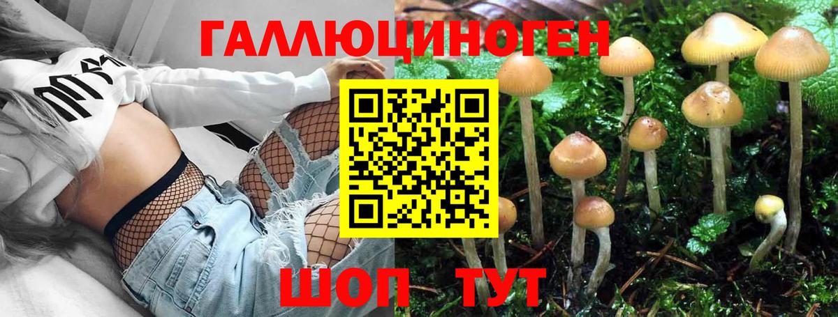 Галлюциногенные грибы GOLDEN TEACHER  Вход с VPN  Назарово 